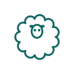nimble_asset_54326256